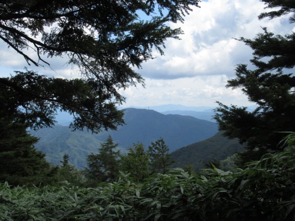 登山道